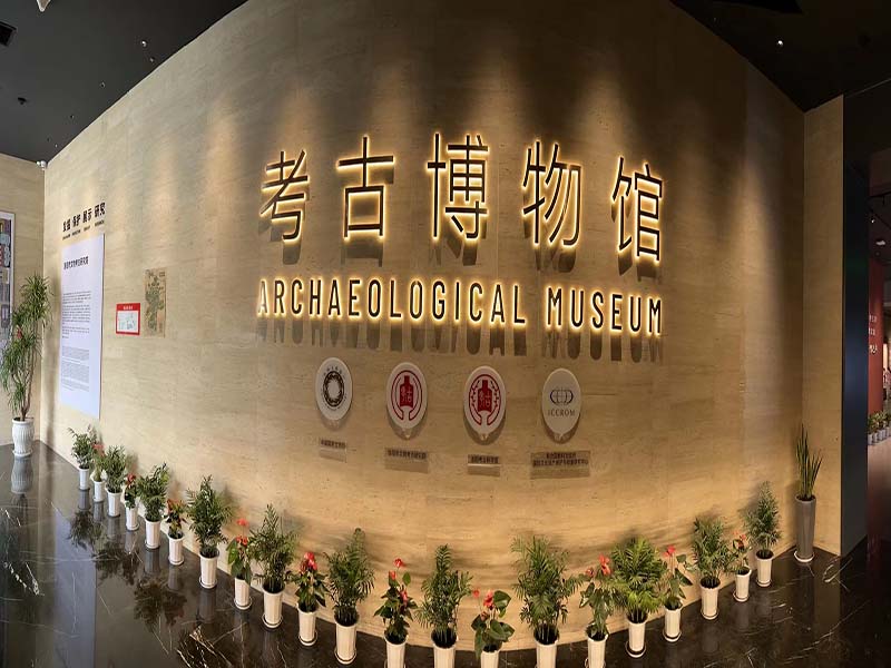 桂林博物馆展柜